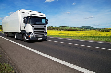 White truck on the road between yellow flowering rapeseed field