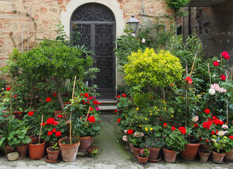 blühende Topfblumen, Dorf, Toskana