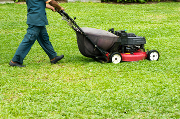  mowing the lawn