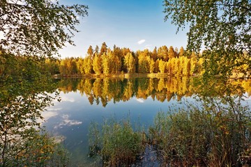 autumnal lake near the forest