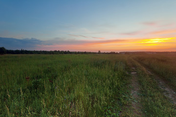 Fototapeta na wymiar Road in sunset field
