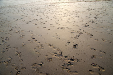  sand