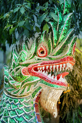 Beautiful Chinese Dragon