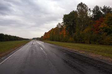 the autumn road  