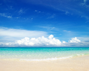beach and tropical sea