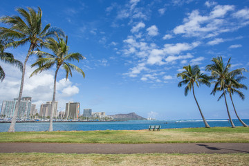 Palm tree with Diamond head mountain background, Hawaii