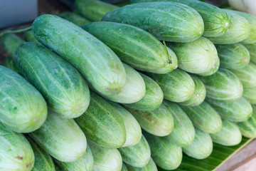 Cucumber. Cucumbers. Growing Organic Cucumbers. Pile Of Ripe Cucumbers Outdoor On Market
