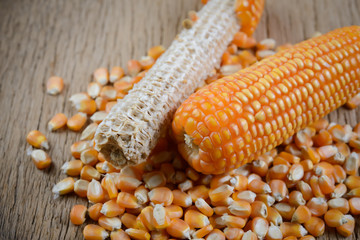 Yellow ripe corn in Wicker basket on white wooden table