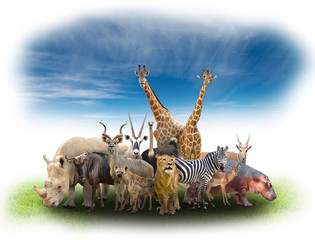 group of africa animals