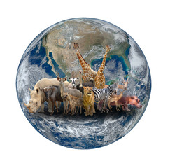 group of africa animal with planet earth