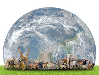 animal of the world with planet earth - obrazy, fototapety, plakaty