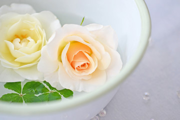 ボウルに浮かべたバラ