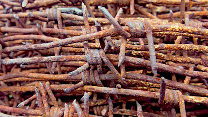 Old rusty coil of barbed wire
