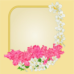 Golden frame rhododendron and jasmine vector