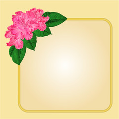 Golden frame with rhododendron vector