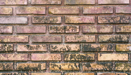 bricks wall