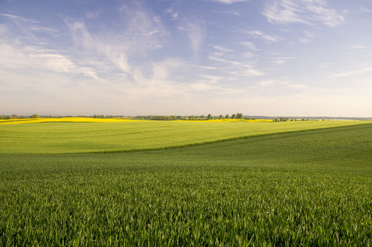  wiosenne pole