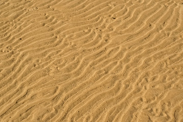 Yellow sand texture