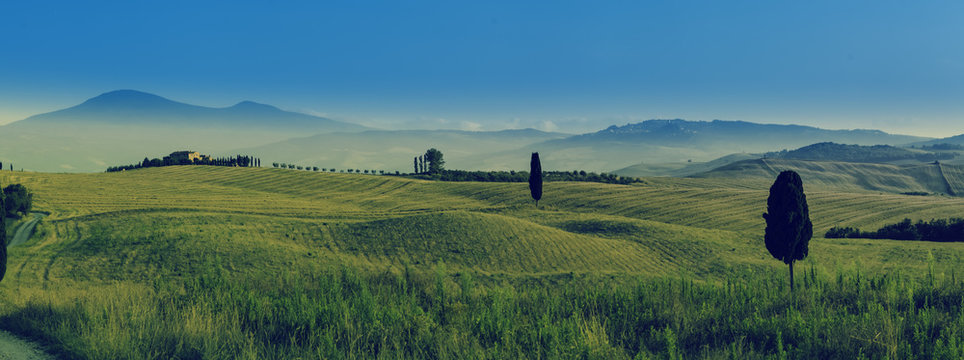 toskania, panorama, winnica, val d&rsquo;orcia, włochy, sierpień, cyprysy, Tuscany, vineyard, Val d'Orcia, Italy, August, cypresses