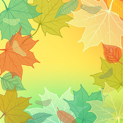 Autumn Background with fallen leaves and blank space