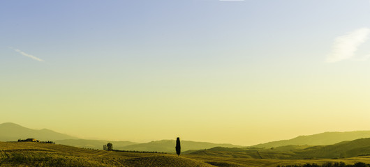 toskania, panorama, winnica, val d’orcia, włochy, sierpień, cyprysy, Tuscany, vineyard, Val d'Orcia, Italy, August, cypresses