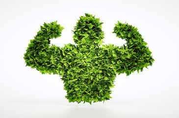 Eco muscles sign