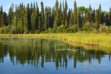 Fototapeta na wymiar Sheridan Lake, British Columbia, Kanada
