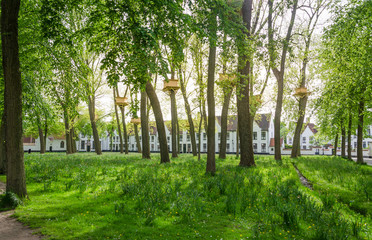 Tree Houses in the Beguinage Garden in Bruges