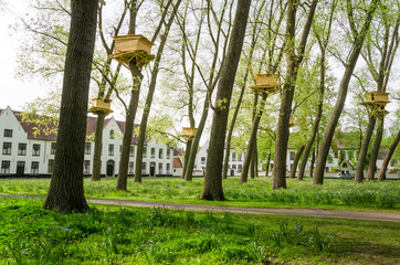 Tree Houses in the Beguinage Garden, Bruges