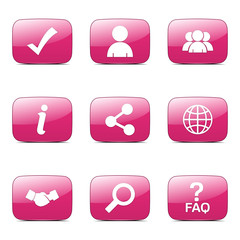 Web Internet Square Vector Pink Icon Design Set 2
