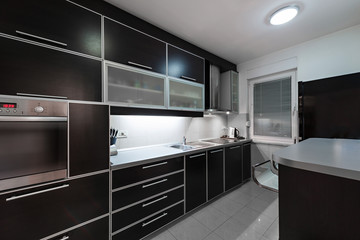 Contemporary kitchen interior
