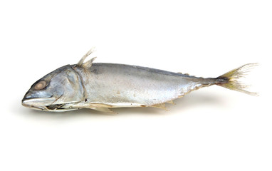 steamed boiled mackerel ready for cook one of the most favorite
