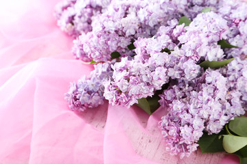 Beautiful lilac flowers on pink background