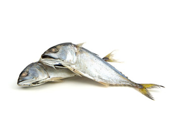 steamed boiled mackerel ready for cook one of the most favorite