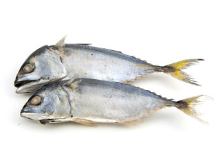 steamed boiled mackerel ready for cook one of the most favorite
