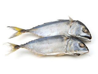 steamed boiled mackerel ready for cook one of the most favorite