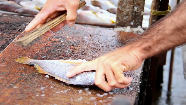 An close up older man scaling freshly caught fish in Mexico