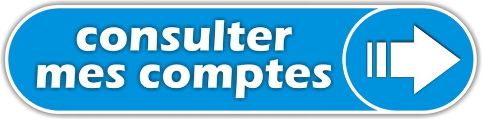 bouton consulter mes comptes