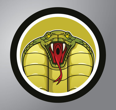 Cobra Circle sticker