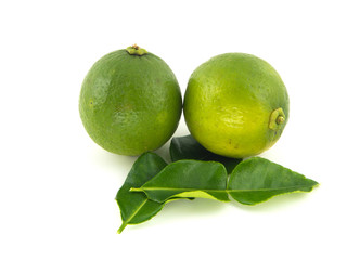 Fresh lime with leaves, Isolated on white background