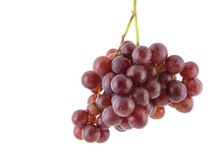 Red grape isolated on white