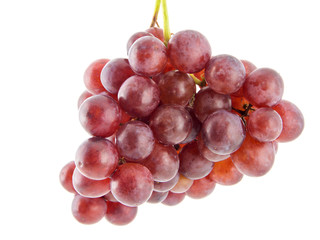 Red grape isolated on white