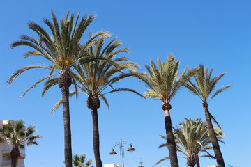 Station balnéaire de Benalmadena, Espagne