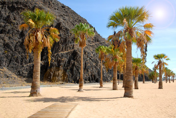Palmenstrand Teneriffa