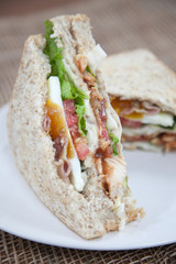 Sandwiches served on a white dish.