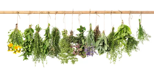 Foto auf Acrylglas Aromatisch Fresh herbs hanging. Basil, rosemary, thyme, mint, dill, sage