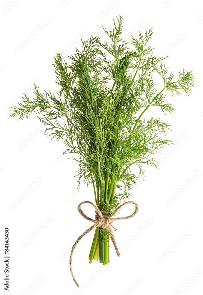 Poster dill herb isolated on white background. food ingredient. condime