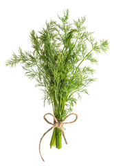 Dill herb isolated on white background. Food ingredient. Condime