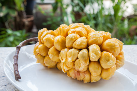 Group of fresh chempedak arils, a fruit native to South East Asi
