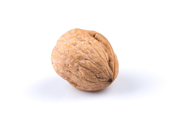 Dried walnut